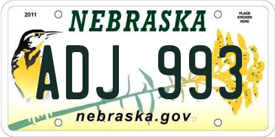 NE license plate ADJ993
