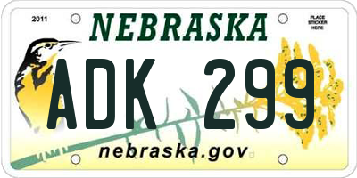 NE license plate ADK299