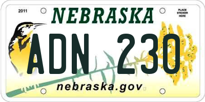 NE license plate ADN230