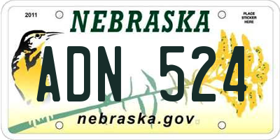 NE license plate ADN524