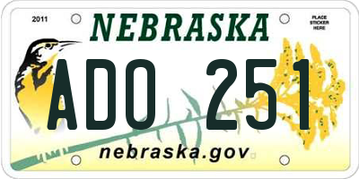 NE license plate ADO251