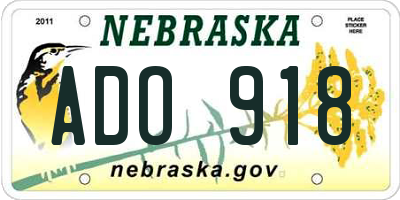 NE license plate ADO918