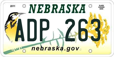 NE license plate ADP263
