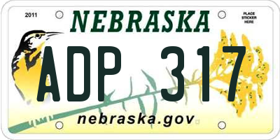 NE license plate ADP317