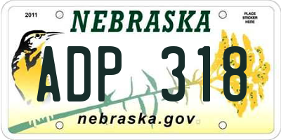 NE license plate ADP318