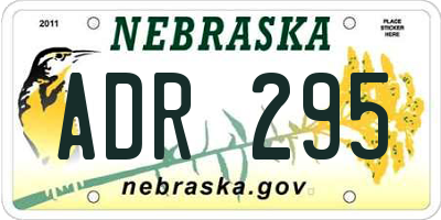 NE license plate ADR295