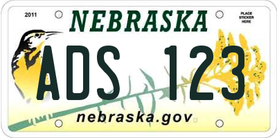 NE license plate ADS123