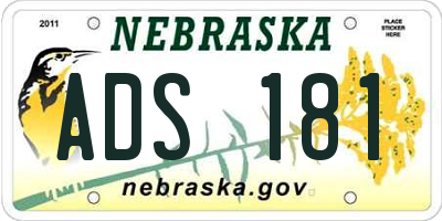 NE license plate ADS181