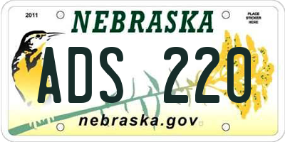 NE license plate ADS220