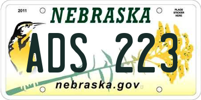 NE license plate ADS223