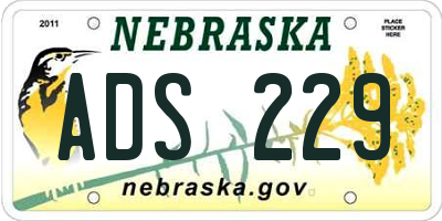 NE license plate ADS229