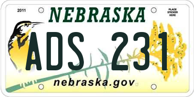 NE license plate ADS231