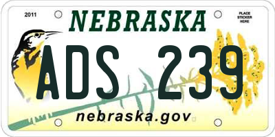 NE license plate ADS239