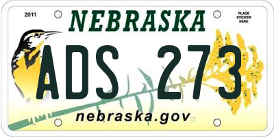 NE license plate ADS273