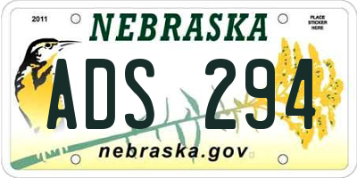 NE license plate ADS294