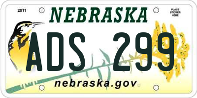 NE license plate ADS299
