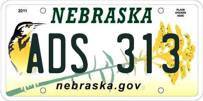 NE license plate ADS313