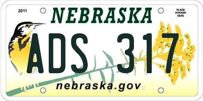 NE license plate ADS317
