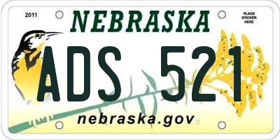 NE license plate ADS521