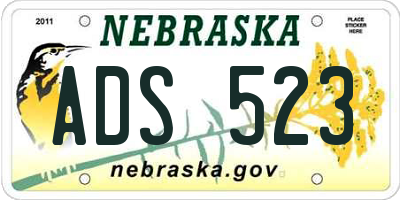 NE license plate ADS523