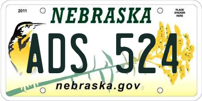 NE license plate ADS524