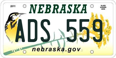 NE license plate ADS559
