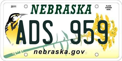 NE license plate ADS959