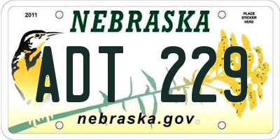NE license plate ADT229