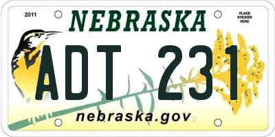 NE license plate ADT231