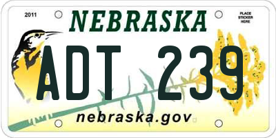 NE license plate ADT239