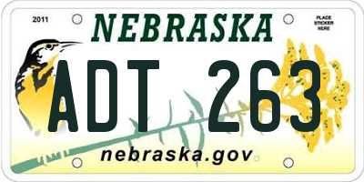 NE license plate ADT263