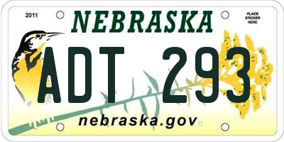 NE license plate ADT293