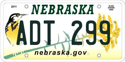 NE license plate ADT299