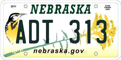 NE license plate ADT313