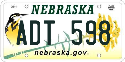 NE license plate ADT598