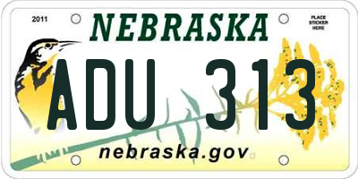 NE license plate ADU313