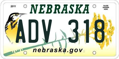 NE license plate ADV318