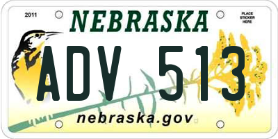 NE license plate ADV513