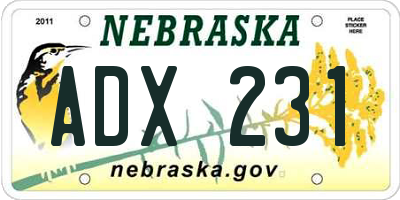 NE license plate ADX231