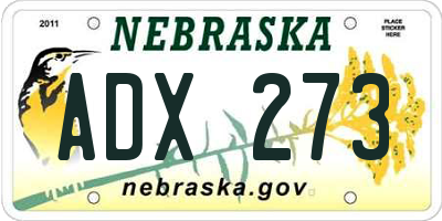 NE license plate ADX273