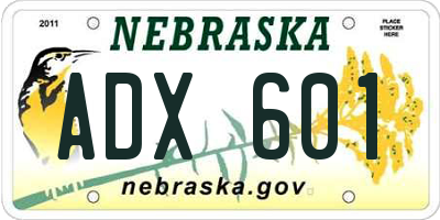 NE license plate ADX601