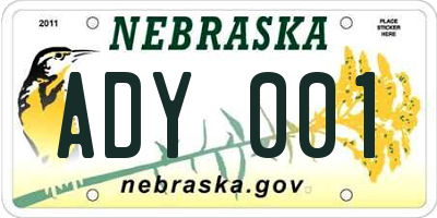 NE license plate ADY001