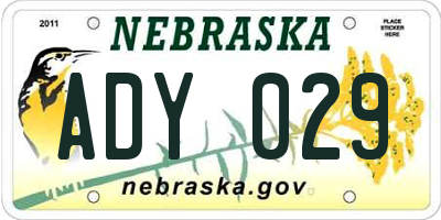 NE license plate ADY029