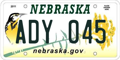 NE license plate ADY045