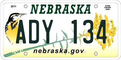 NE license plate ADY134