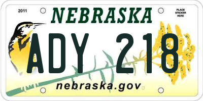 NE license plate ADY218