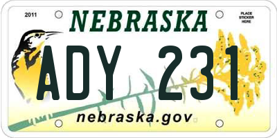 NE license plate ADY231