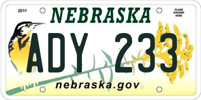 NE license plate ADY233