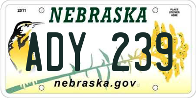 NE license plate ADY239