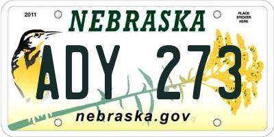 NE license plate ADY273